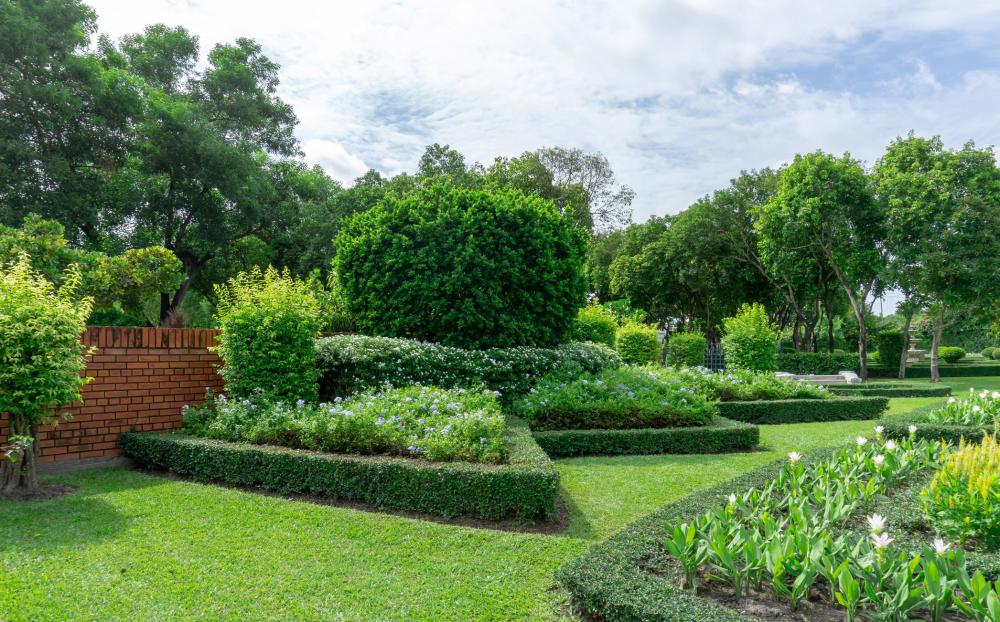 Paysagiste-jardin