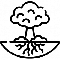 arbre-de-la-vie